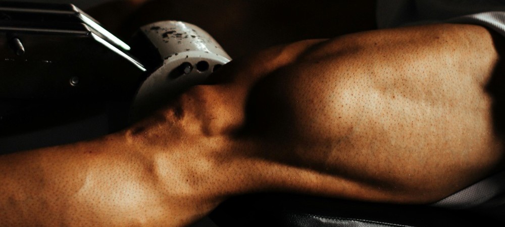 steroids and protein synthesis